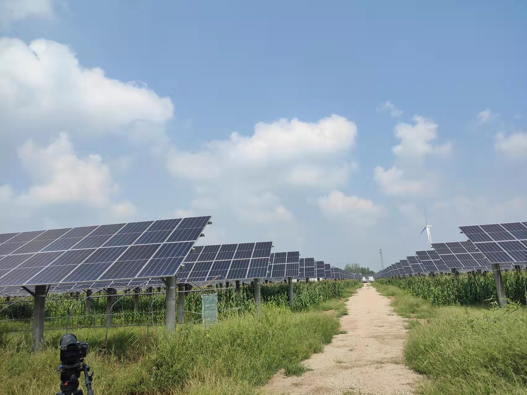 CA88(�й���)Ψһ�ٷ���վ