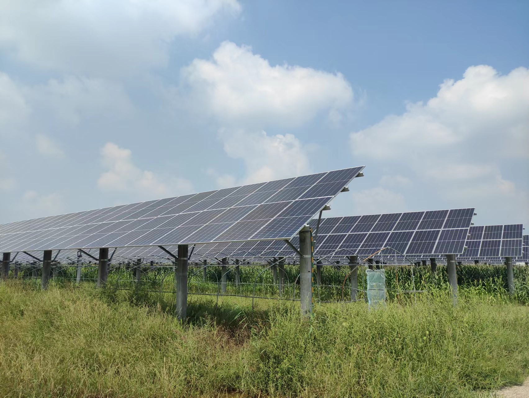 CA88(�й���)Ψһ�ٷ���վ